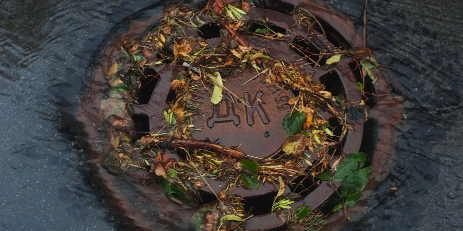Drain service in Miami: storm drain grate clogged with leaves