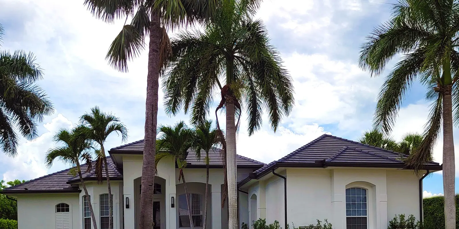 Plumber in Kendall: white house with palm trees and a dark tile roof